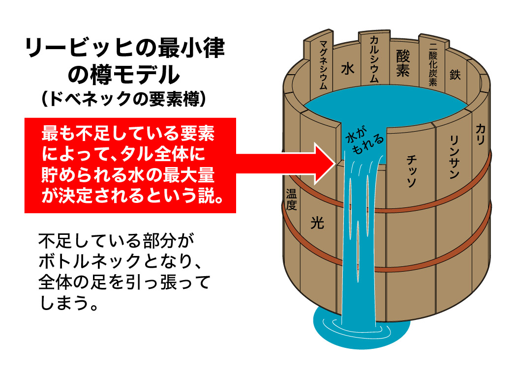 何はともあれ土を知る 土壌分析のススメ 株式会社ホーネンアグリ